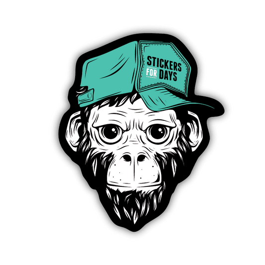 SFD - Chimp